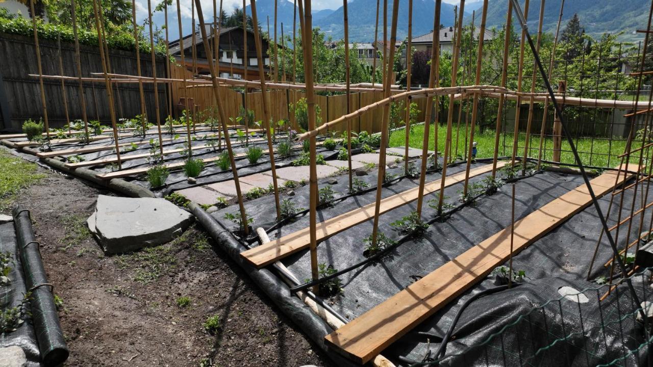 Nora S Home 2 - Panoramic Terrace & Bio Garden Merano Exterior foto